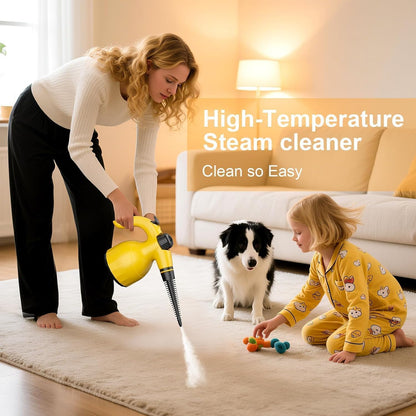 Hand Held Steam Cleaner